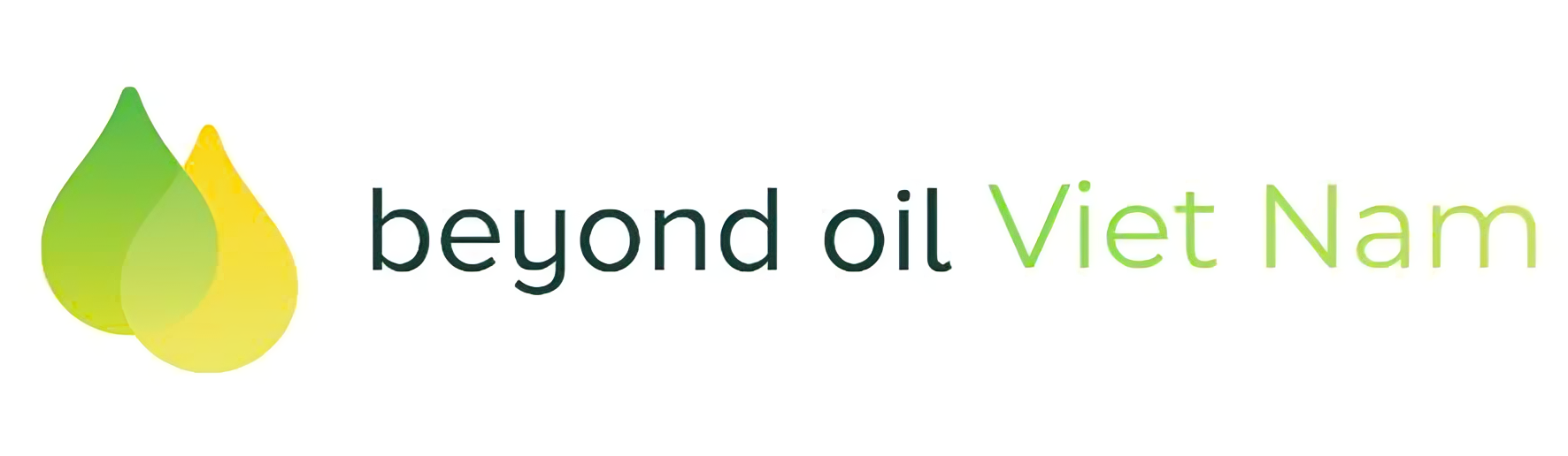 Beyond OIL VN